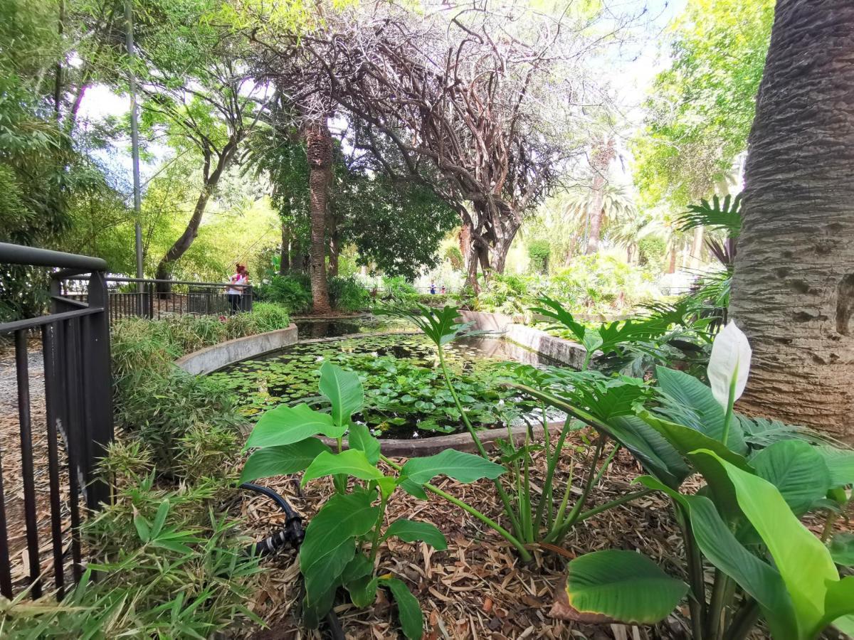 Home2Book Charming Apartment Santa Cruz, Wifi Extérieur photo